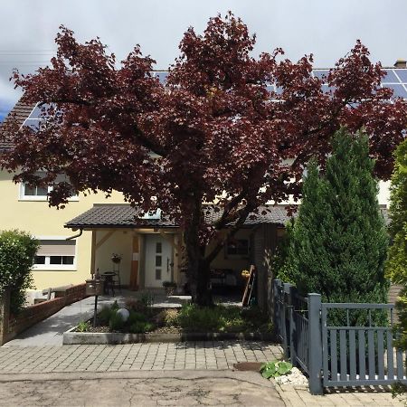 Apartmentvermietung Ingrid Bolkart - Voehlino 2 Illertissen Esterno foto